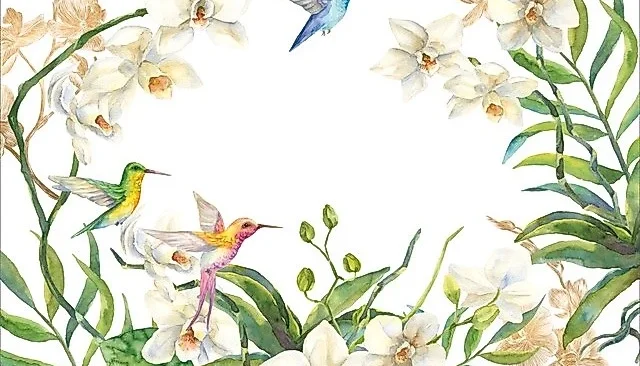Jogo Americano Orquídeas e Beija-Flores