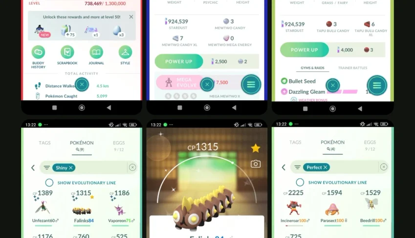 Mewtwo + Tapu Bulu + 9 Shinies + 4 Perfeitos (100%) |pk19