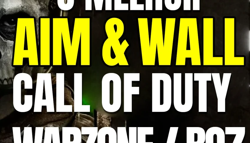 Aim & Wall Cod Warzone Premium Cheat Private
