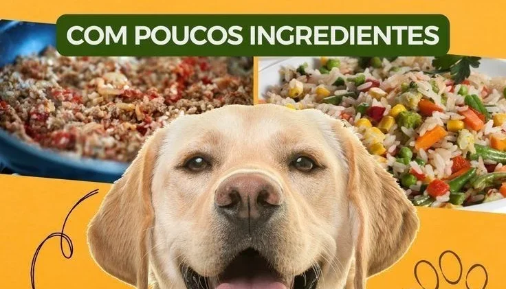 ⚠️ Alimentação Saudável Para Seu Pet ⚠️