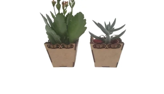 Kit Mini Vaso para Suculentas em MDF, cachepot. 6x6,4cm...