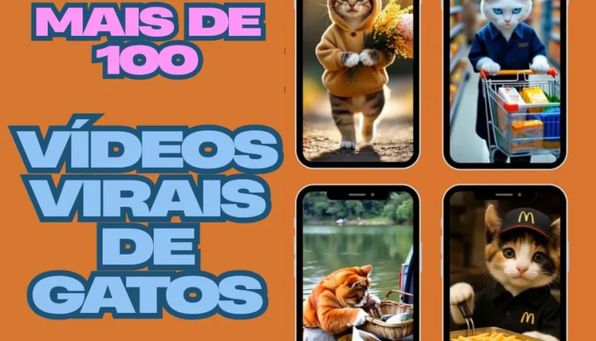 Reel's Gatos Virais