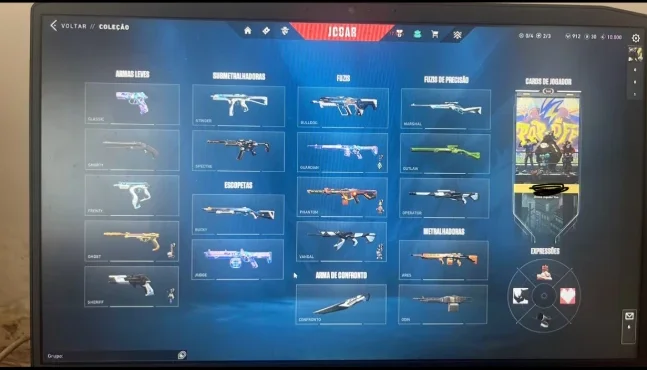 1100 R$ em skins/Pacote Ora/Vandal Gaia-Gatinho/Phantom Game