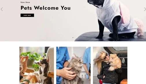 Pater Tema Responsivo Shopify 2.0 PetShop Ração Site WP
