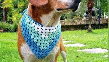 Bandana Pet em Crochê