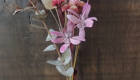 Ramo Seco - Rosado