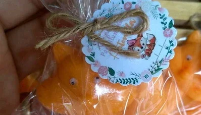 Sabonete Raposa