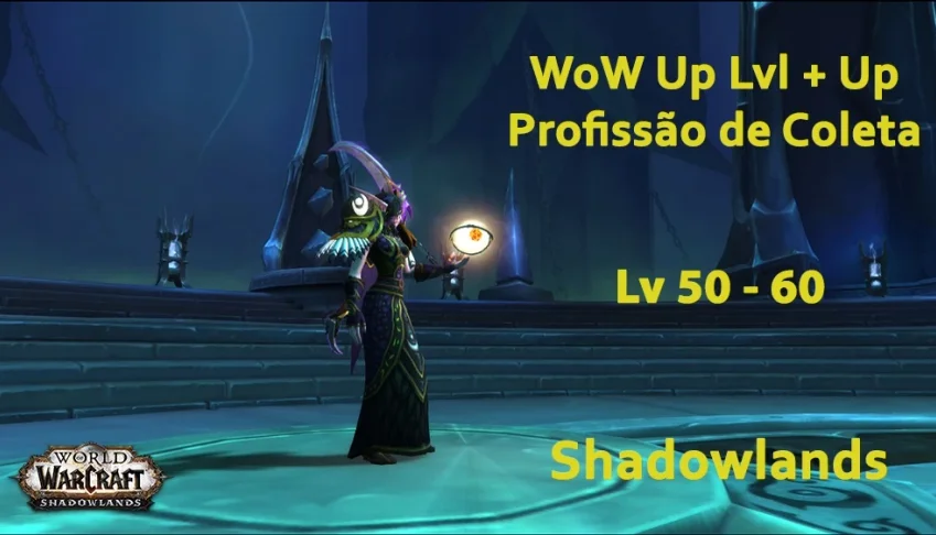 Rush lvl WoW Shadowlands + UP de Profissão de Coleta