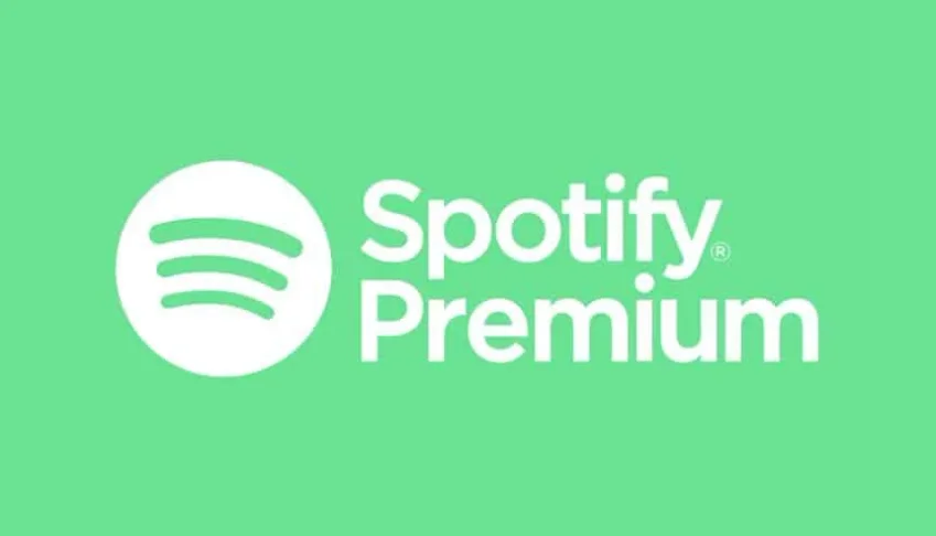 spotify anual (30 DIAS DE GARANTIA)
