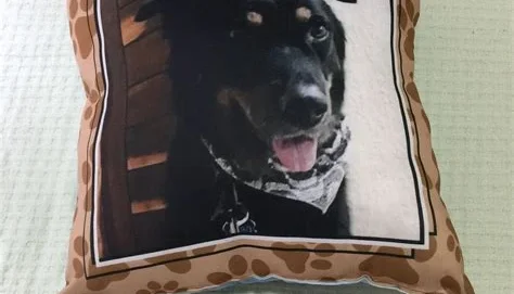 Almofada Personalizada com Foto do Pet
