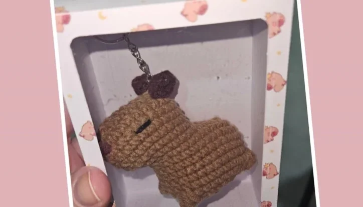 Chaveiro de Capivara, Maçã ou Abelha em Amigurumi