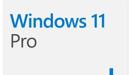Chave Windows 101 Pro 32/64 bits