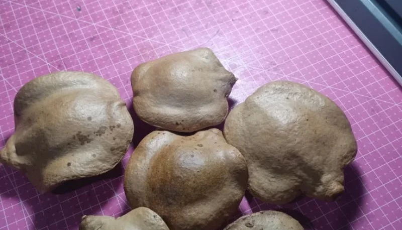 Pacote com 5 Cascas Fechadas de Jacarandá