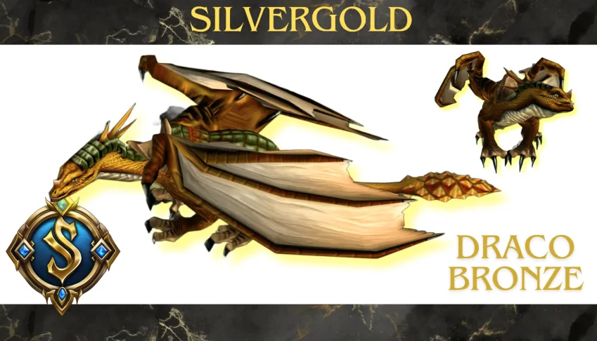 Montaria Draco Bronze Wow Retail - Todos Os Servidores