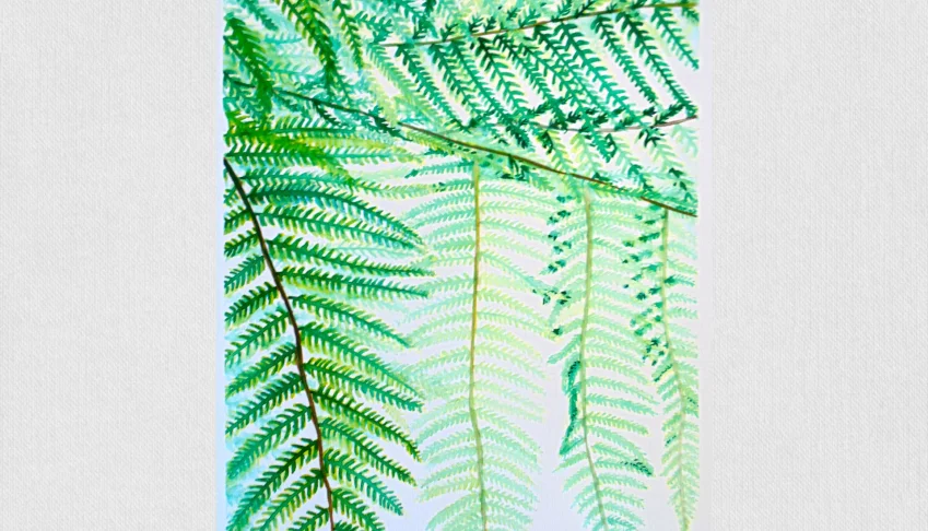 Aquarela Original Samambaia A3 - Sem Moldura