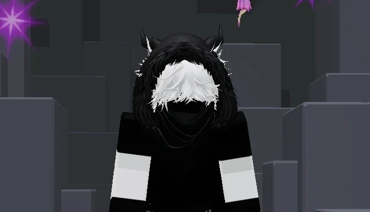 Conta Roblox Com Muitas Skin - Blox Fruits