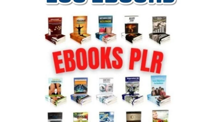 100 Ebooks de PLR