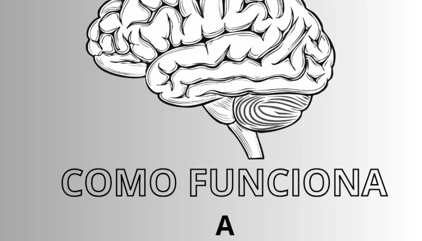 Resumo que vai te ajudar a crescer na vida