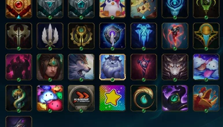 Conta com 48 campeões e 27 skins
