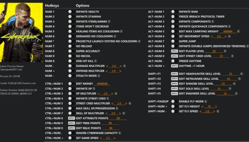 Cyberpunk 2077 hack