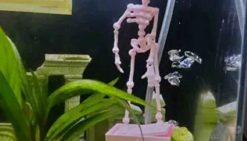 Esqueleto Dançante Decorativo para Aquário em PETG