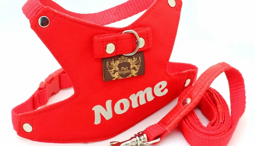 Peitoral Personalizado para Cachorro