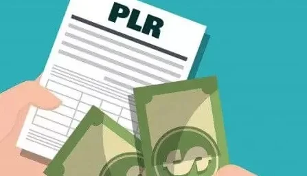 Pack Exclusivo Com Mais De 12,000 Plr's Para Revenda