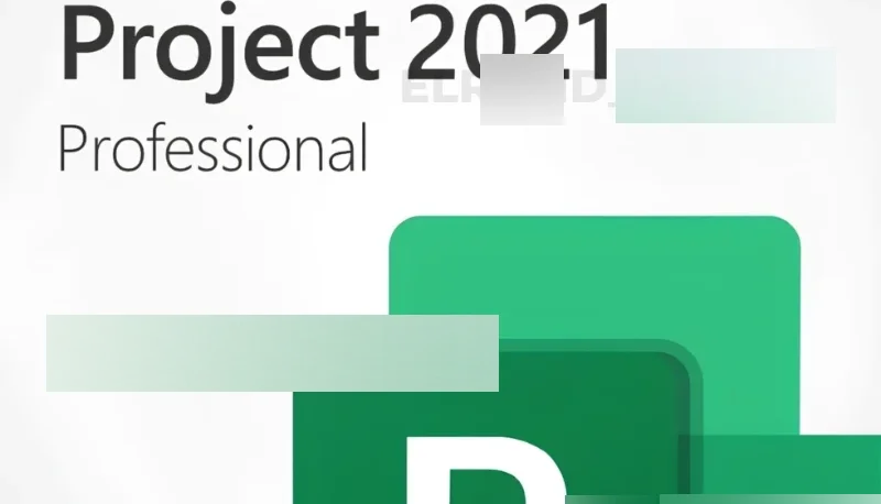 Project 2021 - Professional Vitalício - NF