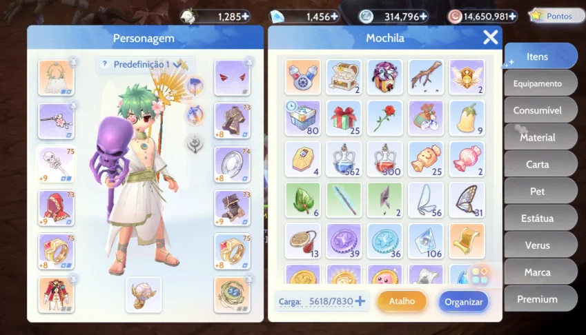 Conta Ragnarok Prontera 4