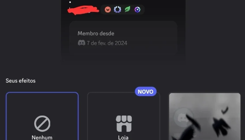 Conta discord com 19k de orbs e decorações (full acess)