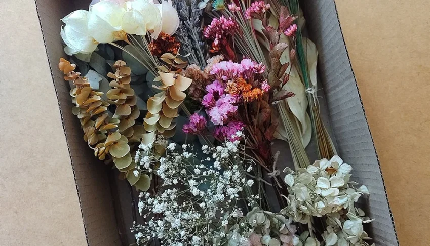 Caixa de Flores e Folhagens Desidratadas - 15 Espécies