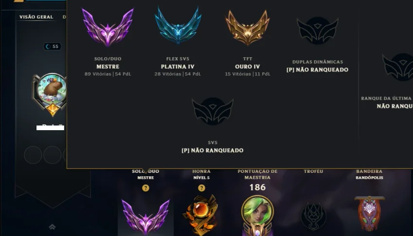 Mestre com 95 Champs e 49 Skins ( 54 PDL )