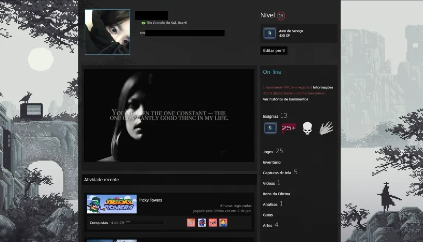 Conta Steam Com Insiginia 9 Anos E Jogos