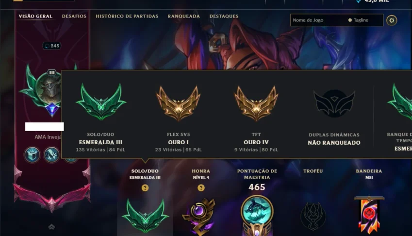 Esmeralda 3 com TODOS os Champ e 83 Skins ( JG / TOP / ADC )