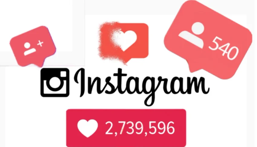 Seguidor Instagram