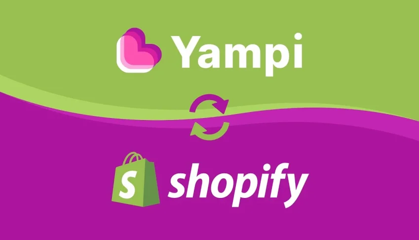9 Temas Incríveis para Dropshipping: Shopfy e Yamp Lis