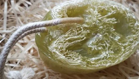 Sabonete Artesanal com Bucha Vegetal