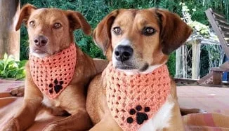Bandana Pet em Crochê