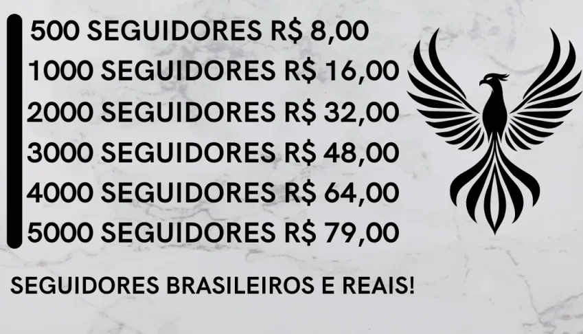 🇧🇷 𝗦𝗘𝗚𝗨𝗜𝗗𝗢𝗥𝗘𝗦 𝗕𝗥𝗔𝗦𝗜𝗟 𝗜𝗡𝗦𝗧𝗔 🇧🇷