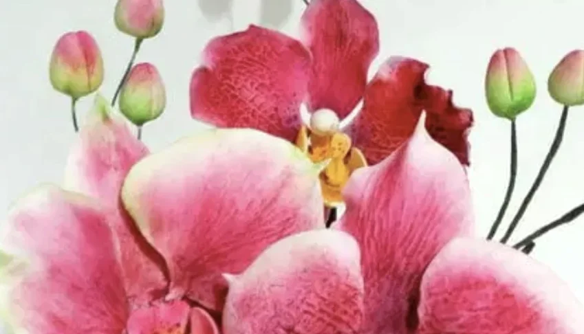 Flores de açúcar