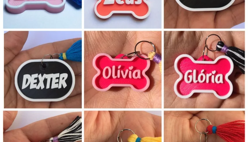 Plaquinha de Identificação Pet Personalizada