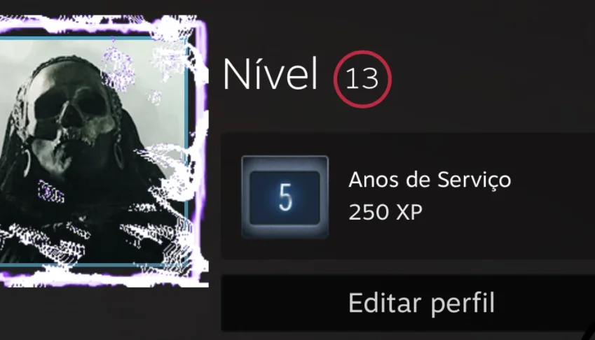 Conta Steam lvl13 5 anos