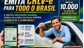 Receba até R$350 oferecendo serviço de despachante online! -