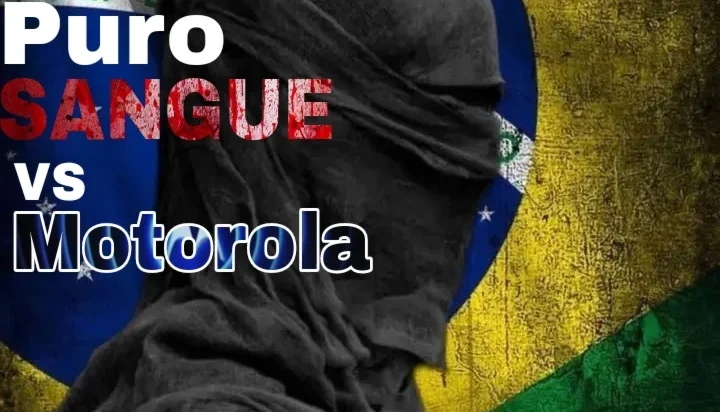 Sensi Puro Sangue Motorola