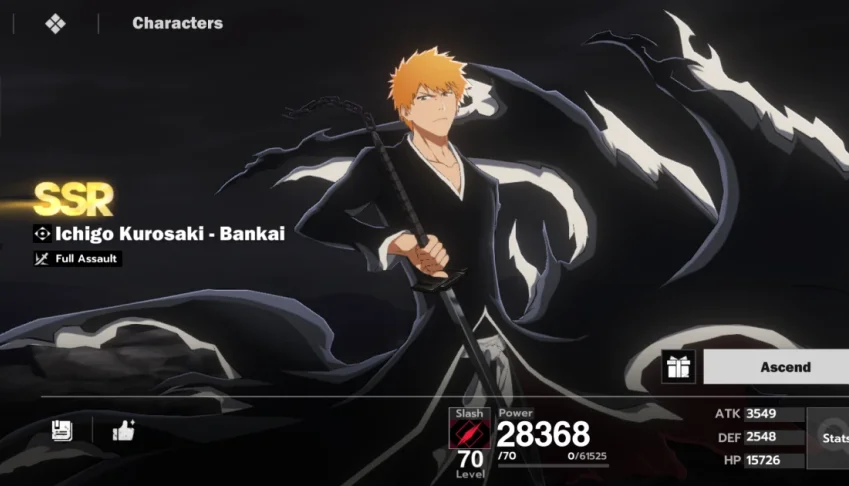Bleach soul resounacer