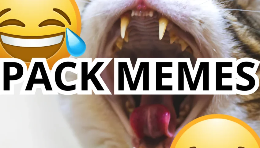 Pack De Memes