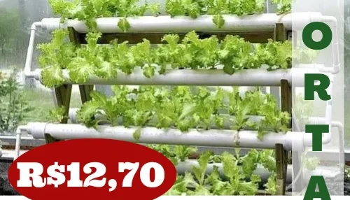 Projeto Horta Organica E Hidroponica Quintal De Casa P Email