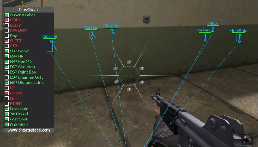 Point Black Aimbot + Esp