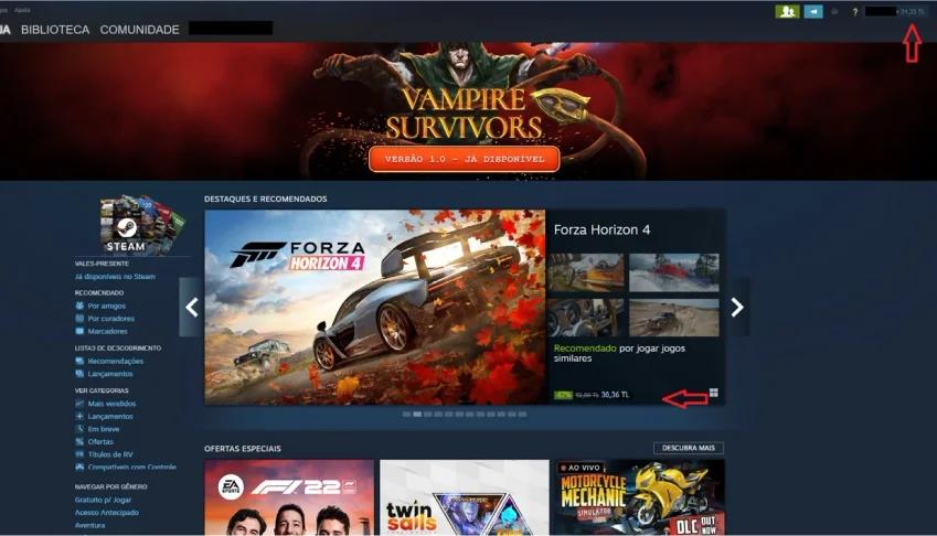 Crio contas na Steam exterior, argentina e Turquia