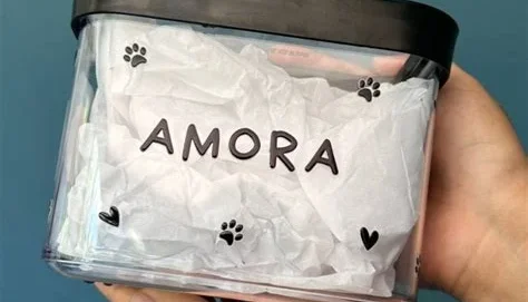 Porta-Ração Personalizado para Pet